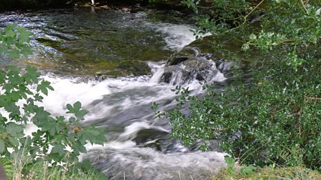 A photo-gallery of pictures taken on Clare's ramble along the river Grwyne Fawr