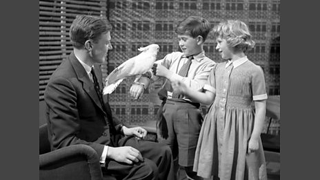 Zoo Quest for a Dragon (1956)
