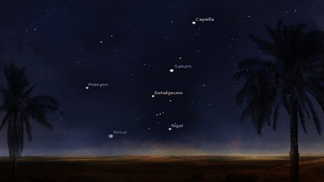 What the stars looked like: Explore the images