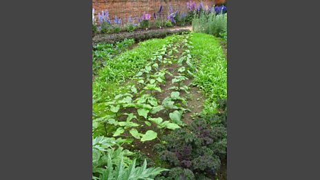 Godinton House garden