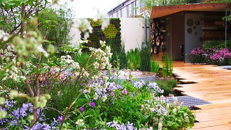 In Pictures: The RHS Chelsea Flower Show