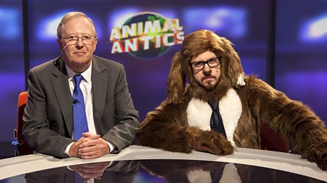 Animal Antics