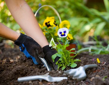 Bbc Gardening Design | Small Backyard Landscaping Ideas