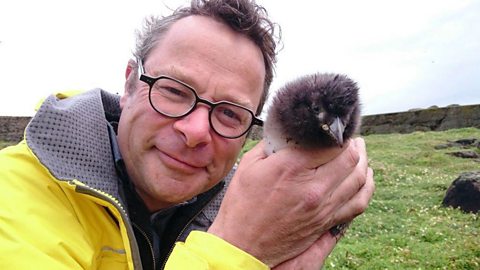 BBC One - Presenter Richard Taylor Jones and researcher Stuart Oates - Big Blue UK - Big Blue UK: Behind the scenes - p02zyk0j