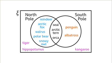 How To Find Probabilities From Venn Diagrams Ks Maths Bbc Bitesize