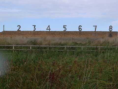Evidence of the military history at Rainham Marshes