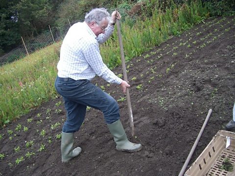 Bill Harvey working the land with his Cornish shovel
