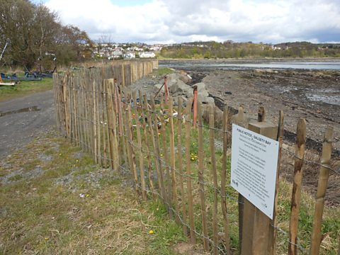 The cordons have now been replaced by a new fence