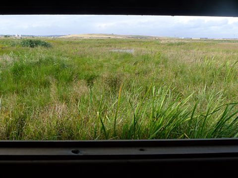 View across Rainham Marshes from one of the hides