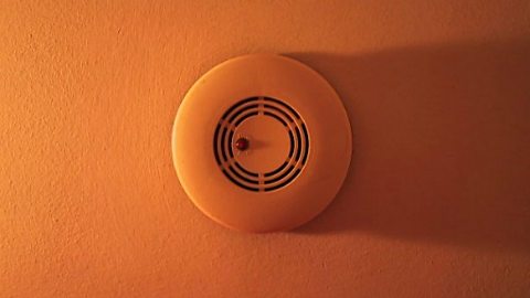 Topic Today - False alarms.