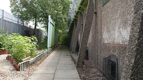 BEFORE: SIDE GARDEN