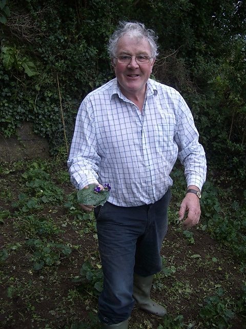 Bill Harvey with the first few violets of the year, picked on 7th October