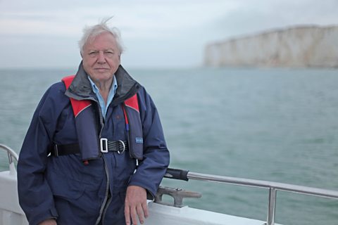 David Attenborough