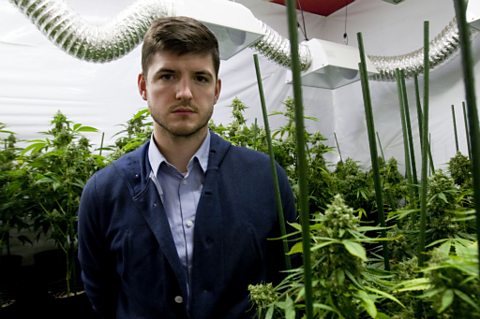 James on a visit to one of the many medicinal cannabis grows in California