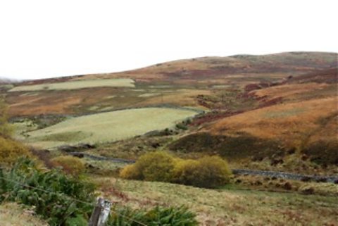 Autumn in the Borders