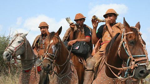Cowboys of the sertoa