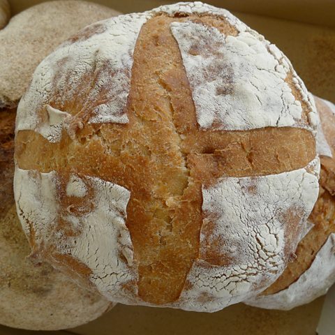 A close-up of the ale barm 'Manchet'
