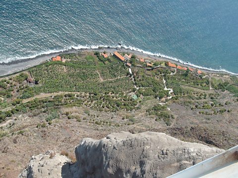 Overlooking the sea level farm