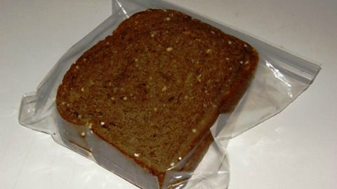 Today's Topic - Packed Lunch Surprises