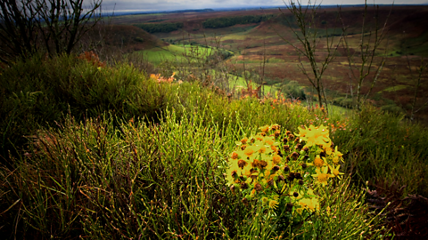 Autumn Landscape Wallpaper