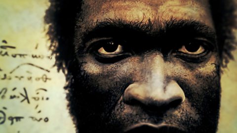 Homo sapiens