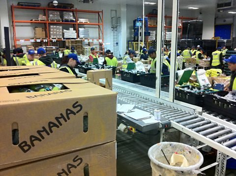 Recording the show at a banana ripening factory