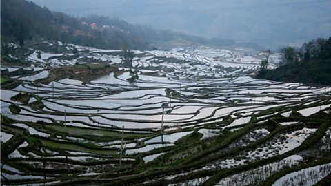 Rice terraces of Yuanyang said to be the largest and most beautiful in the world