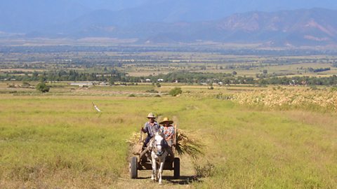 Country life in the east of Georgia with the mighty Caucasus mountain range in the background