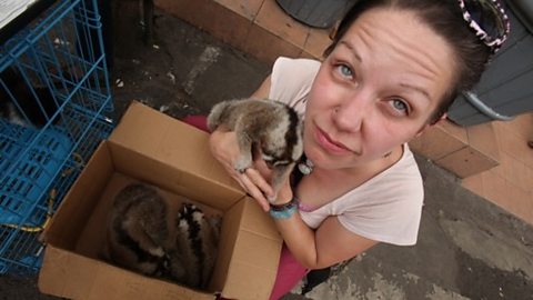 Primatologist Anna Nekaris with Loris in illegal market