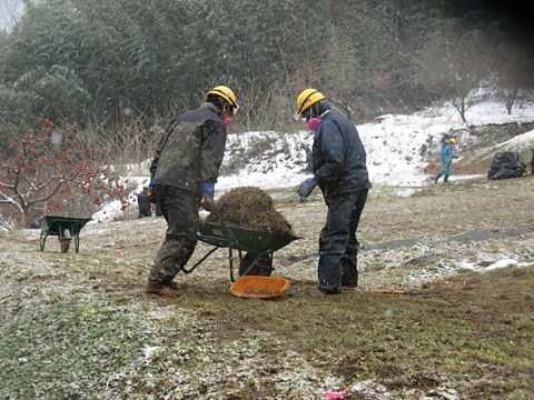 The clean up involves removing contaminated topsoil and vegetation