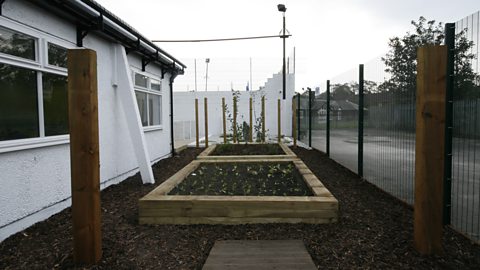 AFTER: NEW KITCHEN GARDEN