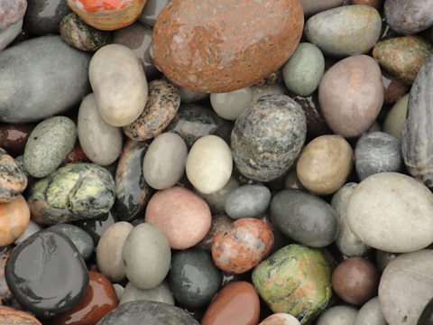 Pebbles, Columba's Bay