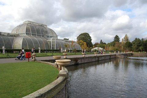 KEW GARDENS