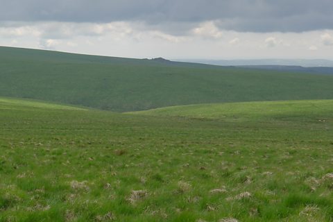 View across Dartmoor