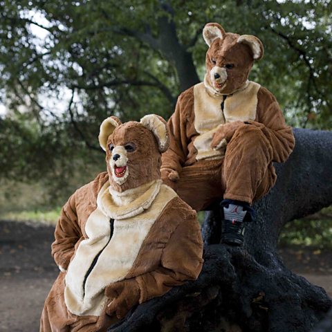 The 2 Bears themselves!