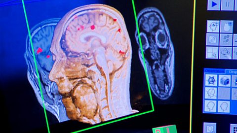 Inside the head of Dallas Campbell