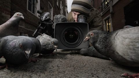 Cameraman Simon De Glanville shooting pigeons in Soho