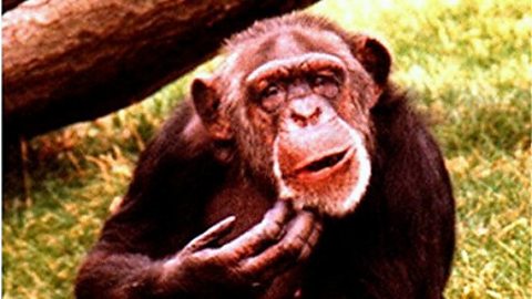 Topic Today - Things you just....forgot.