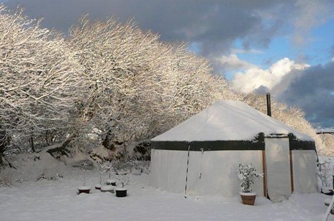 Hen's Yurt