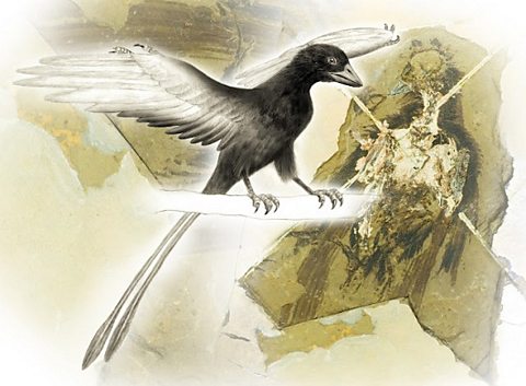 Dinosaur CSI: particle physics used to 'read' fossils