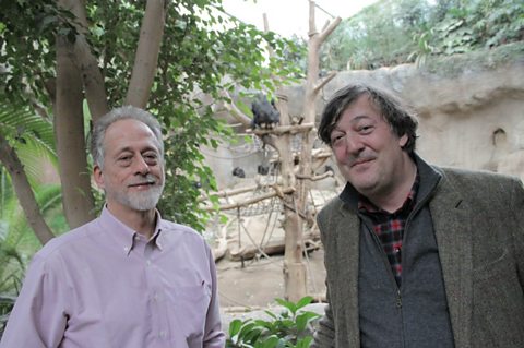 Stephen Fry with Professor Michael Tomasello