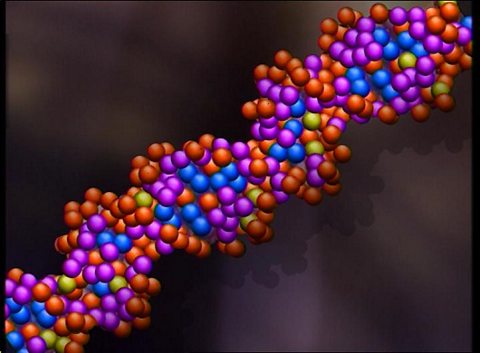  A google maps of genetic make up in the UK will tell you what you're made of