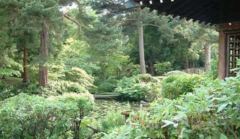 The stunning Japanese gardens at Tatton Park