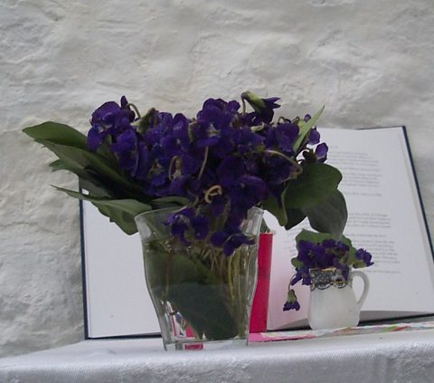 Violets grown, picked and bunched with ivy leaves by Bill Harvey   