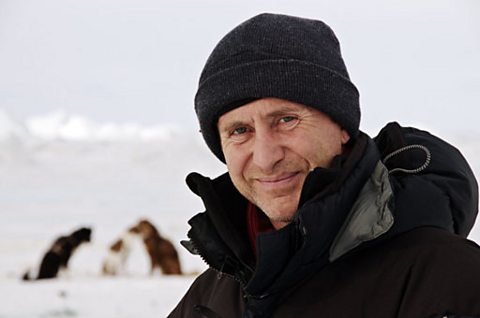 Bruce Parry in Greenland