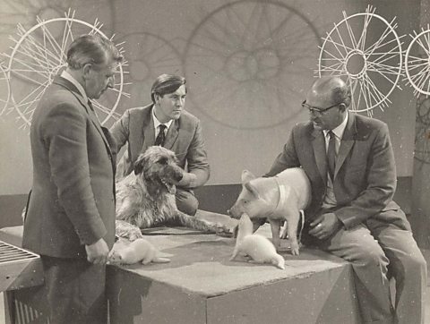 Johnny & Tony Soper in the very early days of Animal Magic