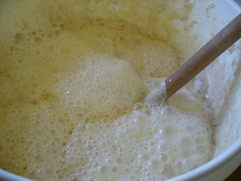 A vigorous sourdough leaven