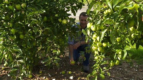 Chris at The National Fruit Collection