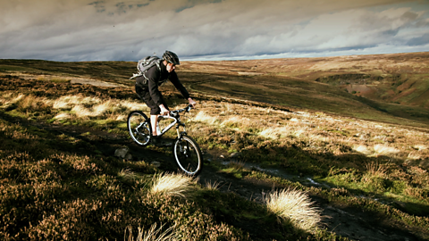 Autumn Cyclist Wallpaper