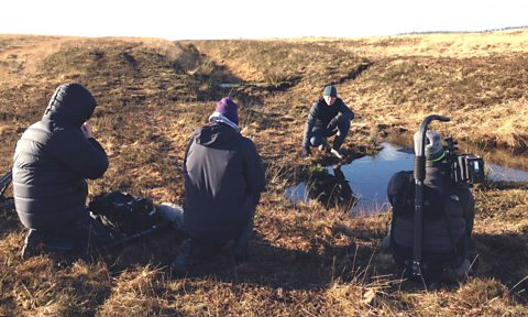 Natural flood defences